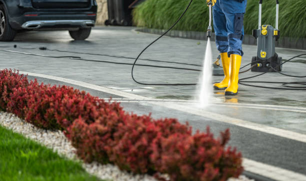Best Building Exterior Pressure Washing in Crookston, MN