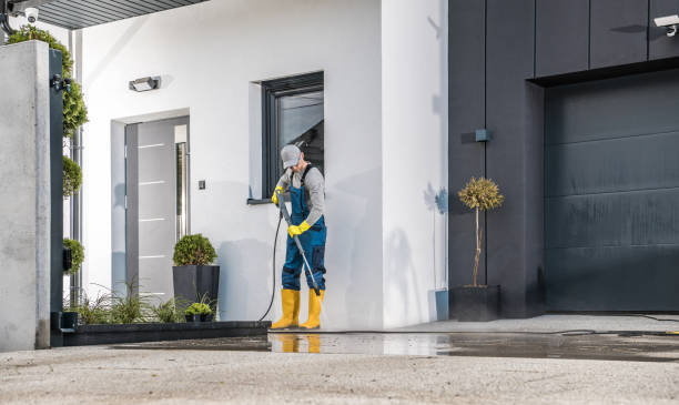 Best Roof Cleaning and Mildew Removal in Crookston, MN